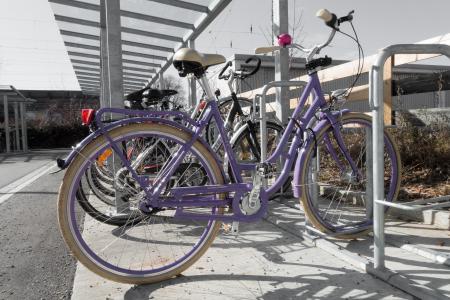 自行车, 停车位, 车轮, 紫罗兰色, 公园, 自行车, 关闭