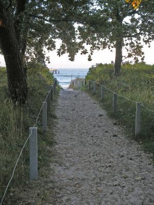 strandweg, 沙子, 海, 走了, 海岸, 北海, 波罗地海