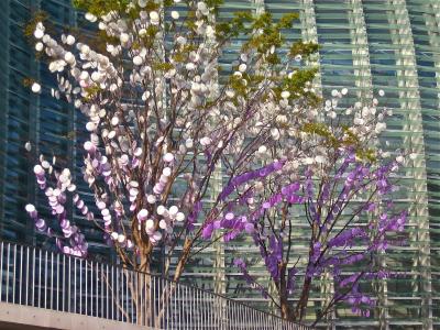 艺术, 东京, 硬币树, 粉色