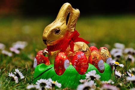野兔, 复活节, 巧克力, 春天草地, 野花, 蓝色, 花