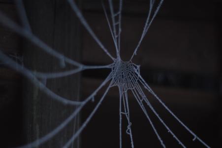 蜘蛛网, 冬天, 感冒, 弗罗斯特, 蜘蛛, 网络, eiskristalle