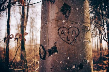 心, 爱, 树, 开始, 伍兹, 森林, 夫妇