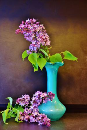 丁香, 淡紫色的花束, 花, 春天, 装饰, 静物, 插花