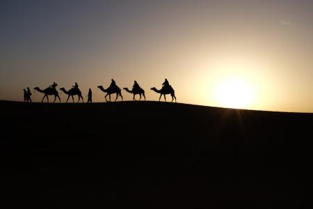 骆驼, 日出, 旅行, 沙漠, 沙子, 太阳, 干