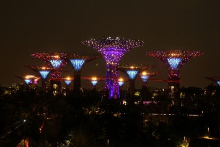 新加坡, 树, 天空, 晚上, 具有里程碑意义, 公园, 亚洲