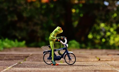 青蛙, 自行车, 有趣, 可爱, 甜, 图, 驱动器