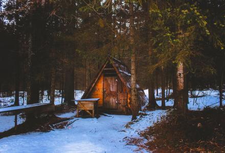 冬天, 雪, 景观, 小屋, 棚里, 森林, 树木