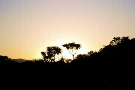 树, 日落, 剪影, ipatinga, 巴西