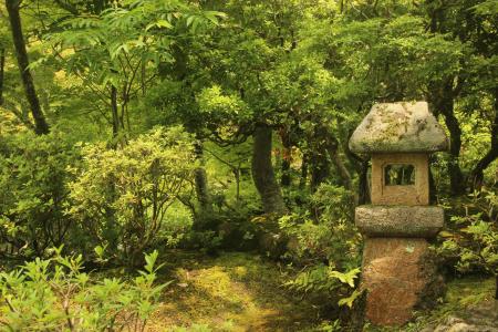 日语, 花园, 靖国神社, 绿色植物, 自然, 树, 户外