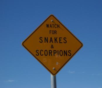 警告, 蛇, 蝎子, 标志, 标牌, 有毒, 警告
