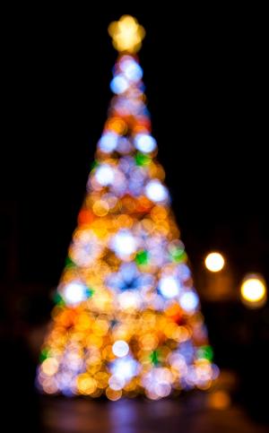 点亮, 圣诞节, 树, 晚上, 灯, 黑暗, 散景