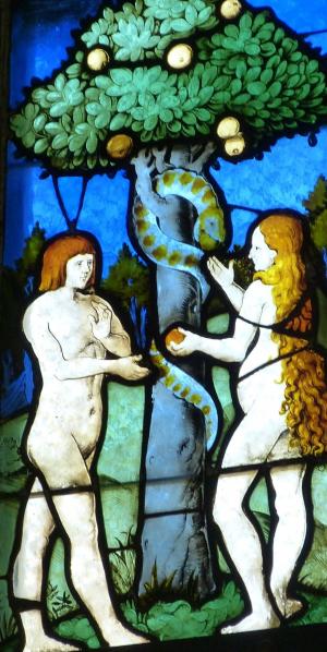 亚当和夏娃, 教会的窗口, 教会, 窗口, 彩色玻璃, 彩色玻璃窗口, 信心