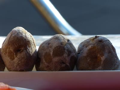 皱纹土豆, 加那利皱纹土豆, 土豆, 吃, 午餐, 西班牙语, 特内里费岛
