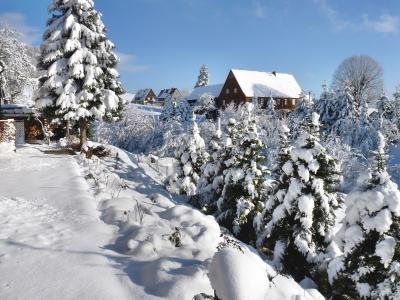 冬天, saupsdorf, 撒克逊瑞士, 寒冷, 白色, 感冒