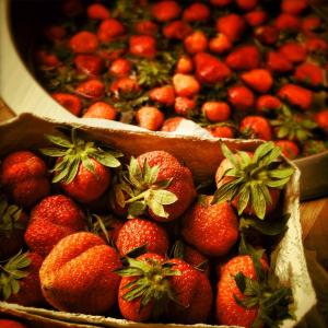 草莓, 美味, 红色, 甜, 水果, 水果, 维生素