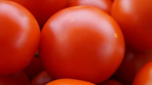 西红柿, 红色, 成熟, 维生素, 健康, 收获, 食品