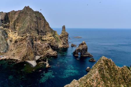 独岛, 韩国, 我们的领土, gyeongsangbuk-做, 一个美丽的岛屿, 19, 海鸥