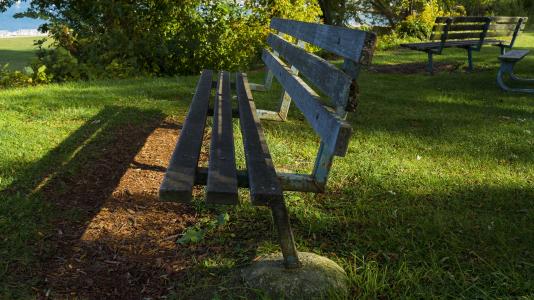 板凳, 阳光, 草, 秋天, 弛豫, 公园