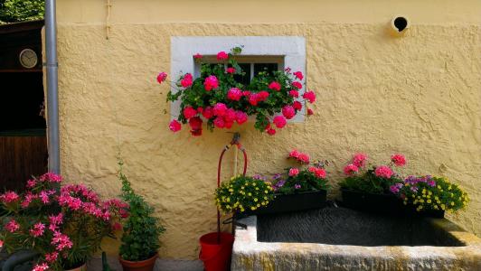海槽, 花卉装饰, 农舍, 花, 窗口, 欧洲, 房子