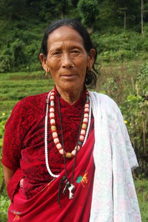 妇女, 尼泊尔, 传统, 衣服, 女性