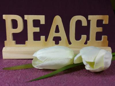 希望, 和平, 装饰, 花, 木材, 背景