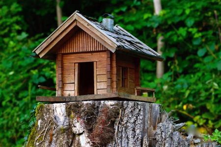 木材, 模型, 小屋, 天然产物, 木材-材料, 自然, 房子