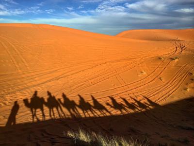 骆驼, 摩洛哥, 沙漠, 沙子, 非洲, 自然, 旅行