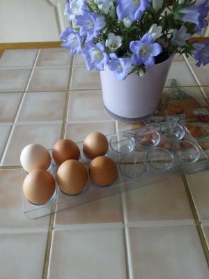 鸡蛋, 风铃草, 表