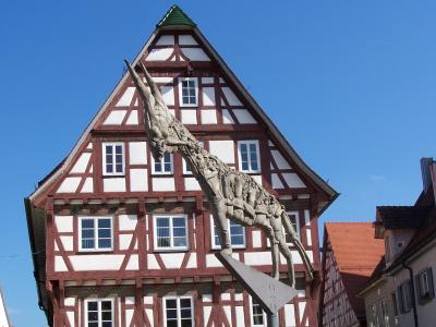 half-timber, 房子, 德国, 建设, 建筑