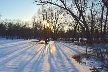 雪, 公园, 日落, 光, 阴影, 冬天, 感冒