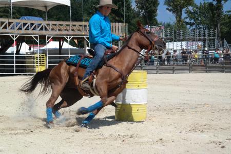 equiblues, 牛仔竞技表演, 芭锐赛车, 参加比赛的马匹, 马, 马, 骑马