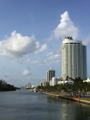 迈阿密地平线, 佛罗里达州, 摩天大楼, 市中心, 建筑