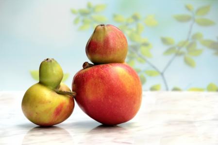 水果, 苹果, 基因缺陷, 大自然的怪胎, 静物