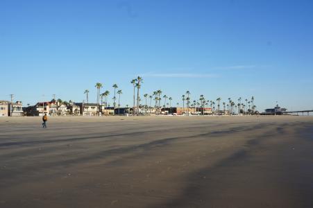 棕榈树, 加利福尼亚州, 车胎, 美国, 海岸, 海洋, 海滩