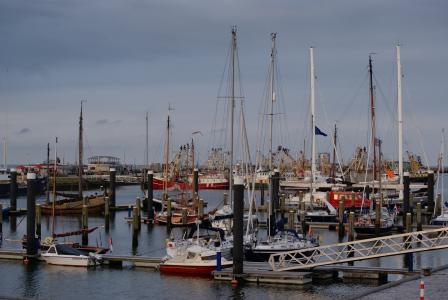 端口, 登海, 小船, 荷兰, 桅杆, 港口, 航海的船只