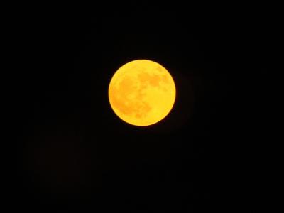 月亮, 琥珀月亮, 秋月