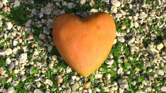橙色, 心, 爱, 自然, 石头, 心的形状, 浪漫