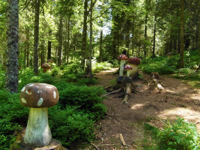 蘑菇森林, 蘑菇, 木材, 童话森林, 飞金顶, 黑色的森林
