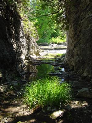 河, 植物, 峡谷, 自然, 水, 绿色, 自然