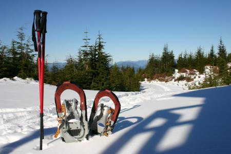 雪鞋, 雪地, 冬季运动, 雪, 徒步旅行, 冬天, 感冒