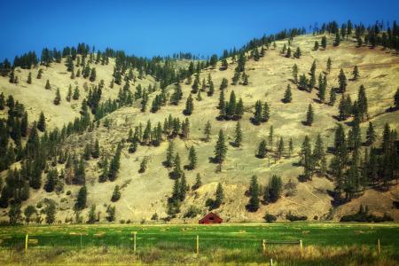 蒙大拿州, 牧场, 农场, 农村, 山脉, 树木, 景观