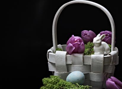 野兔, 复活节兔子, 复活节, 春天, 图, 郁金香, 紫色