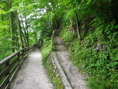 自然, 向上或向下, 楼梯, 逐渐, 走了, 森林