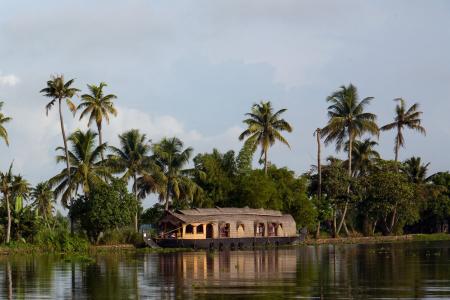 喀拉拉邦, 印度, 船屋, 死水, 棕榈树, 热带气候, 自然