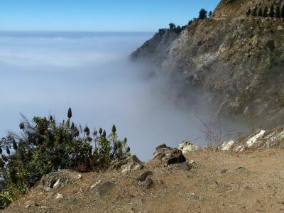 加利福尼亚州, 海岸, 美国, 岩石, 水, 雾