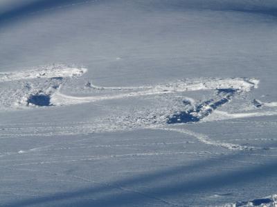 滑雪, 离开, 摇, 跟踪, 曲线, 粉雪, 寒冷