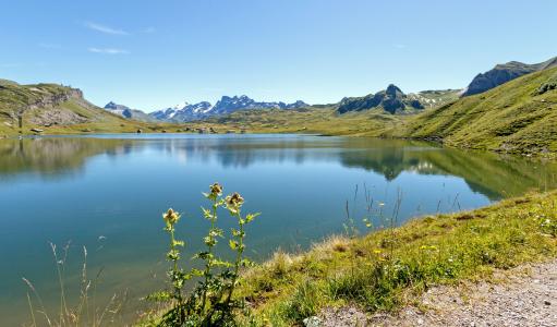 瑞士, 山脉, bergsee, melchsee, 湖, 自然, 山