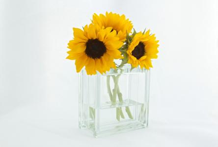 花, 向日葵, 花瓶, 黄色