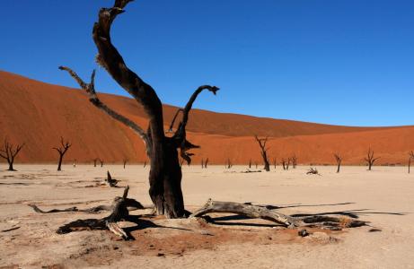 纳米比亚, 苏斯, 沙丘, 自然, 小山, 沙漠, 景观
