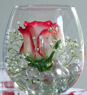 德科, 上升, 玻璃, 葡萄酒杯, 红玫瑰, 装饰, 爱
